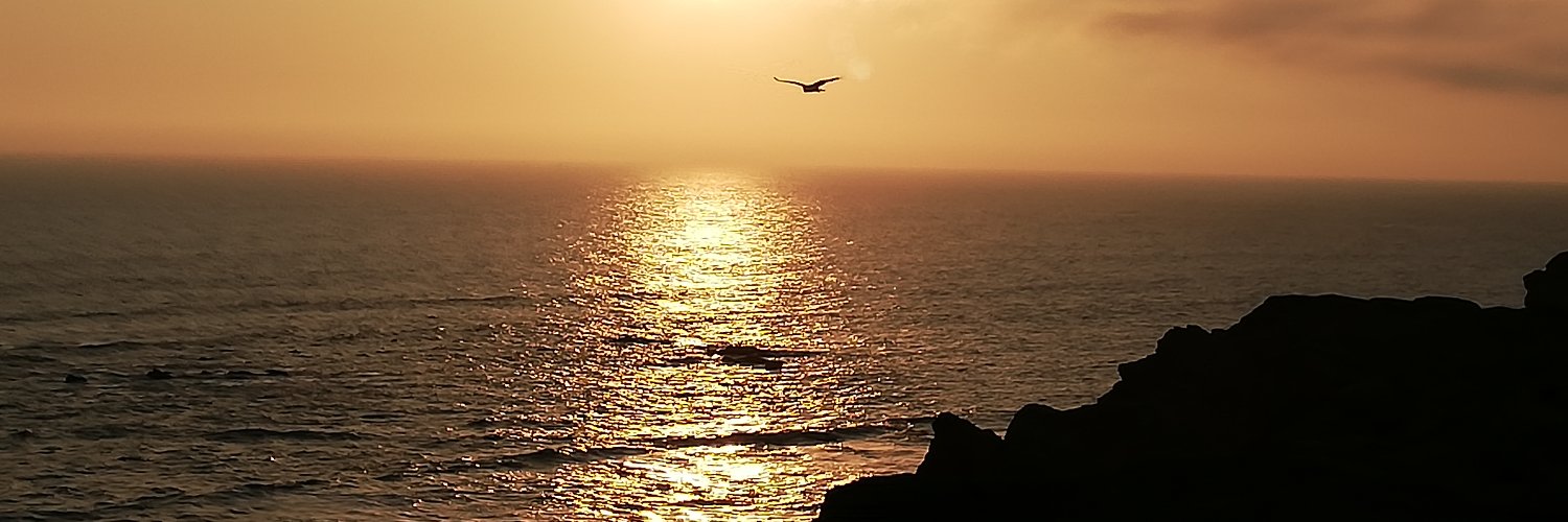 helenaaci's profile banner image