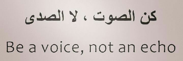 MgdallAwdeh's profile banner image