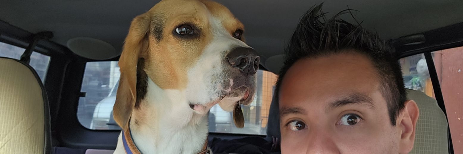 Quechorizote's profile banner image