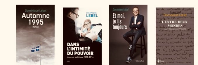 Dominique Lebel banner
