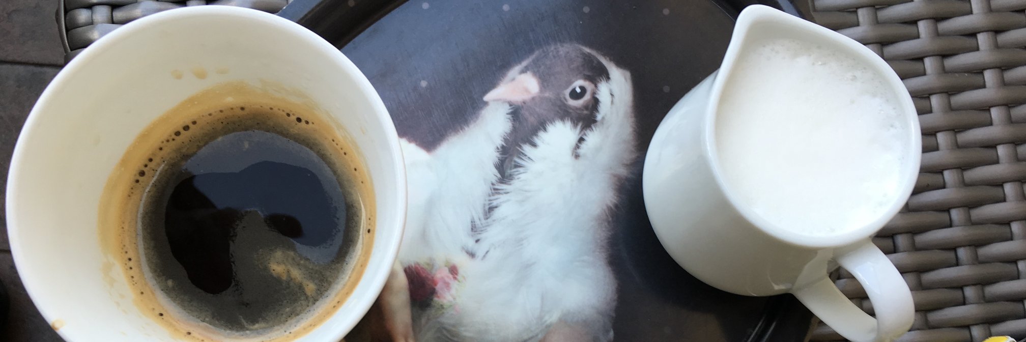 Virginia Rainey banner