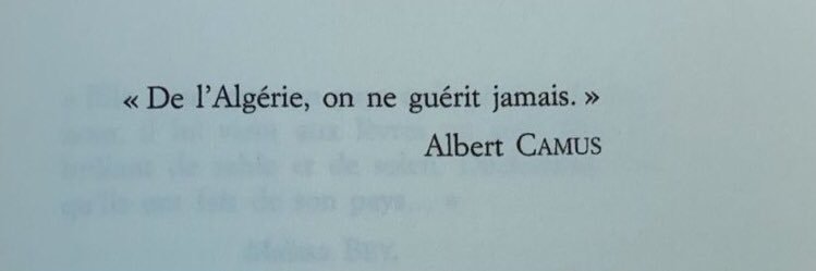 🌍 banner
