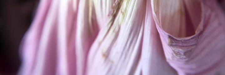 AmazandaKirby's profile banner image