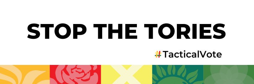 TacticalVote.co.uk banner