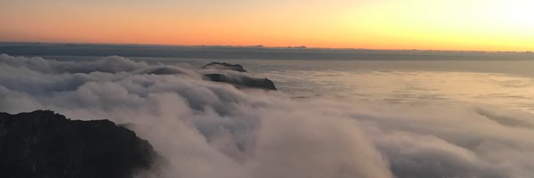 Coach_CeceOjany Profile Banner