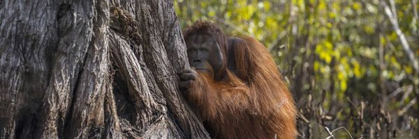 CHELOFER61 Profile Banner