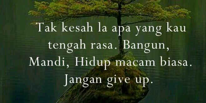 _amir_amirul's profile banner image