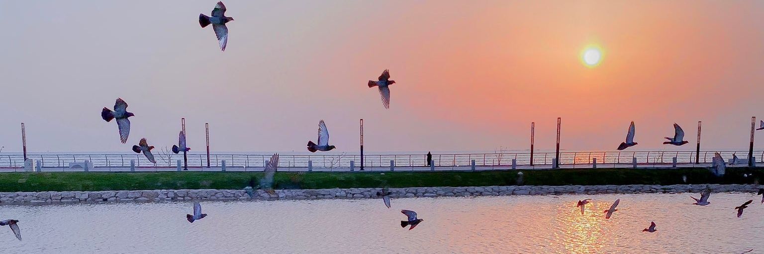 محمد العتيبي banner