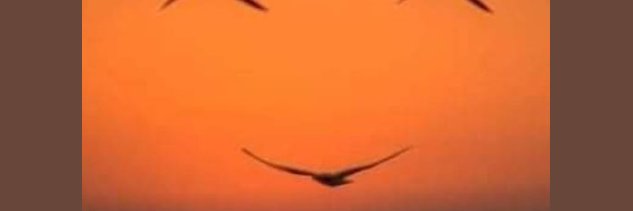 dasydayo's profile banner image