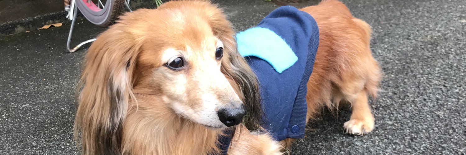 さわだたかひろ banner