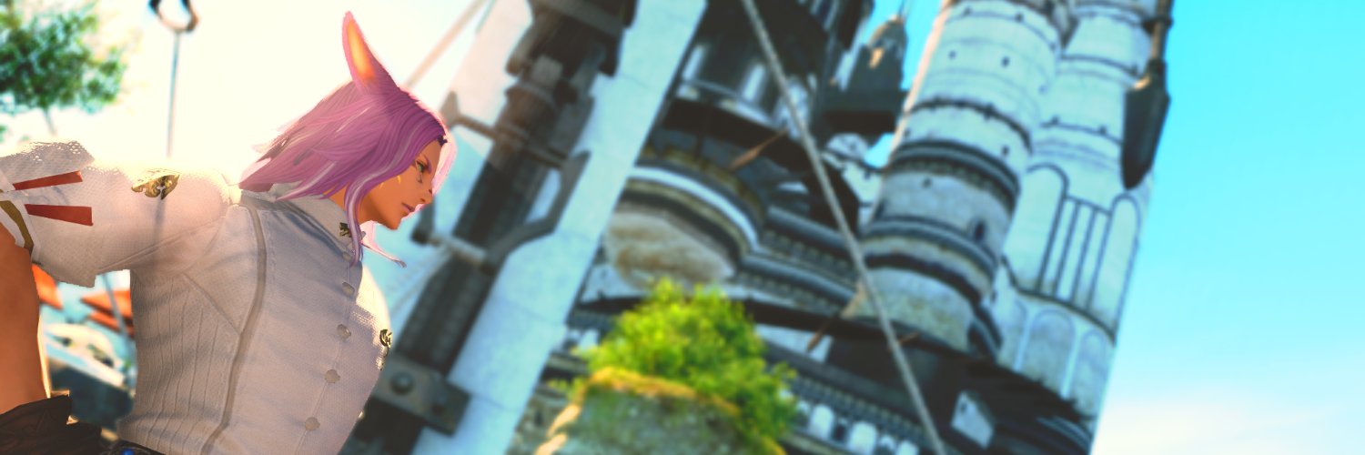 PappioBoio's profile banner image