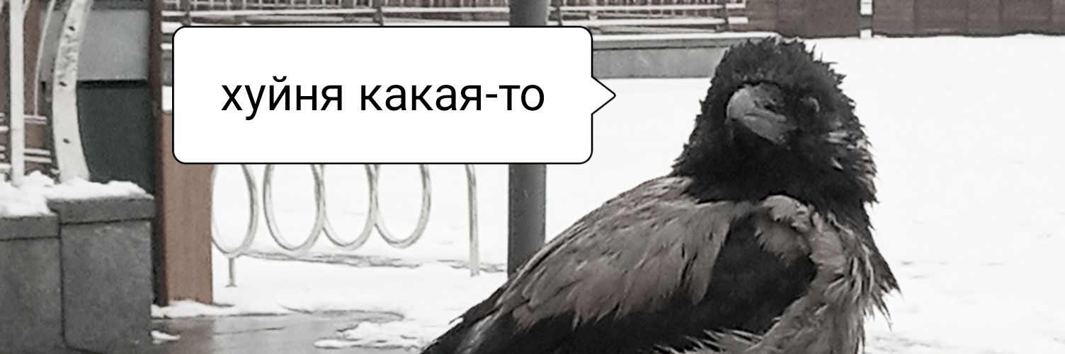 not_lifemainer's profile banner image