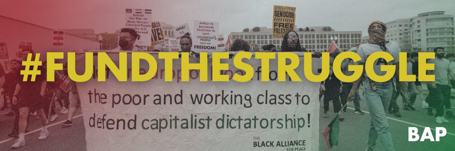 Black Alliance for Peace banner