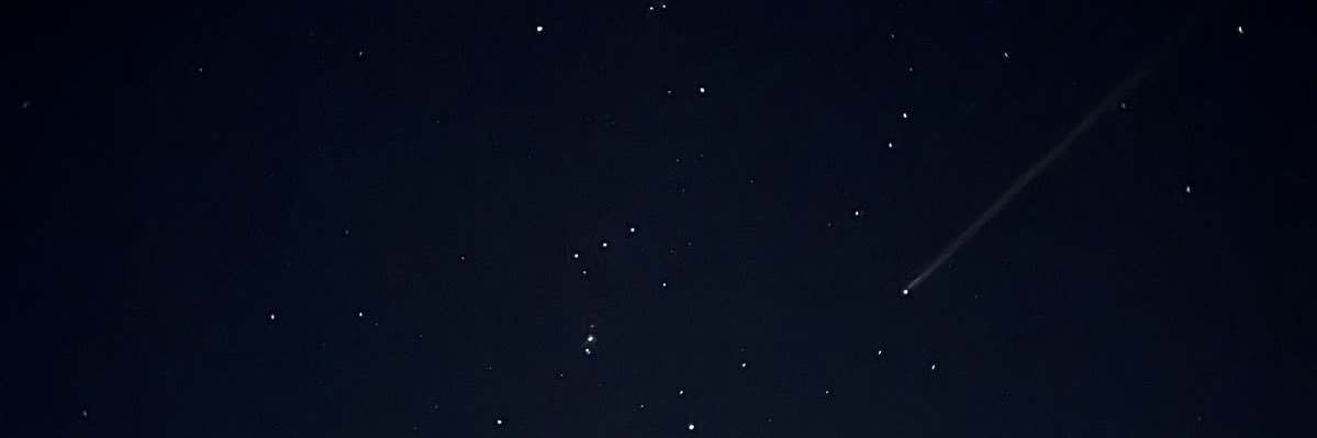 alinn banner