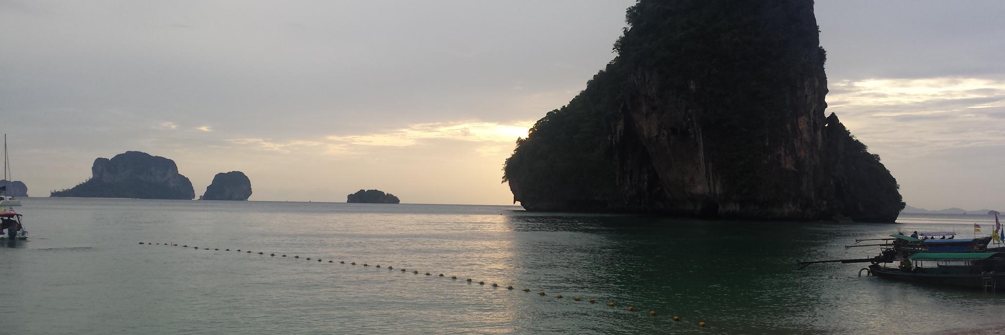 DW banner
