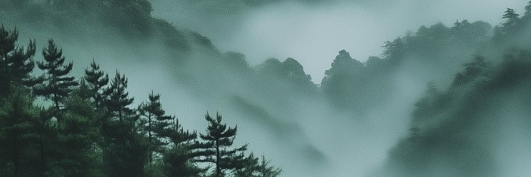 NestaaSX's profile banner image