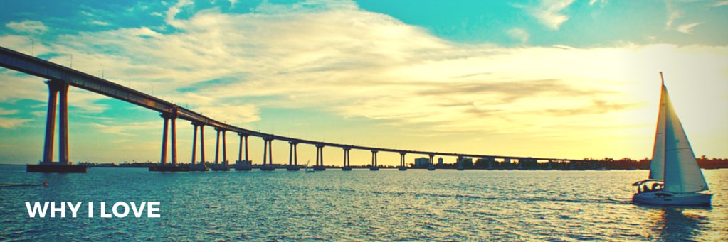 ynot377's profile banner image