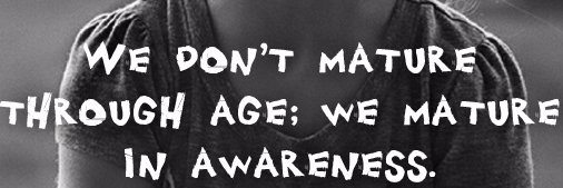 Kuća postignuća™  🥇 banner