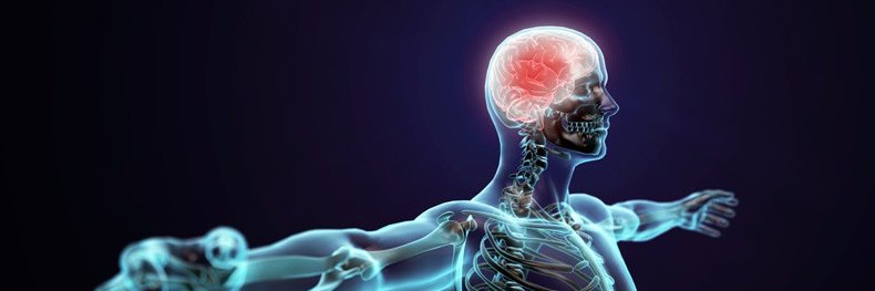 BrainNSpineDoc's profile banner image