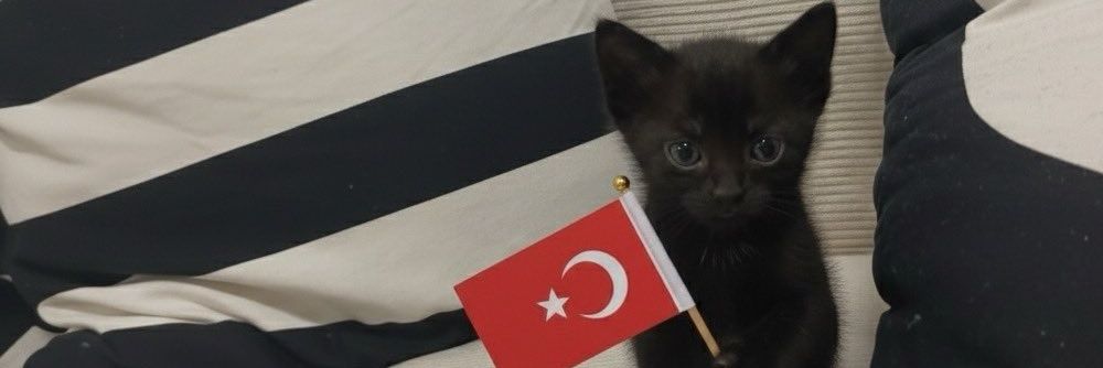 Ssareipek's profile banner image