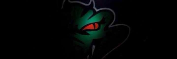 steandreoni's profile banner image