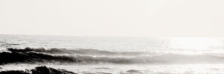 Benn. banner
