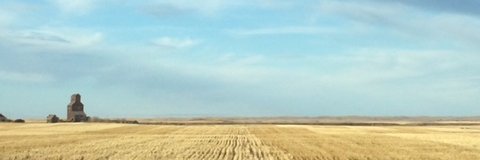 Robyn McKinley banner