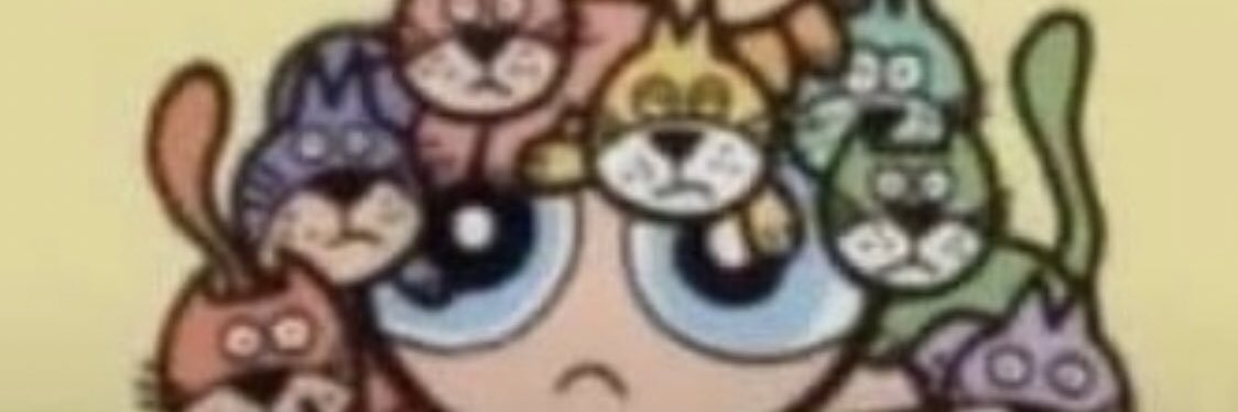 Nikiesteves's profile banner image