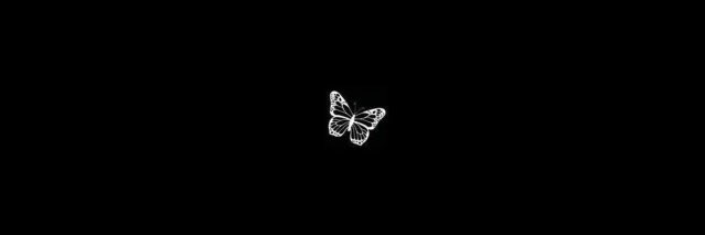 𝐊𝐲𝐥𝐞 banner