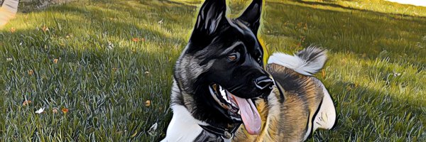 ishen Profile Banner