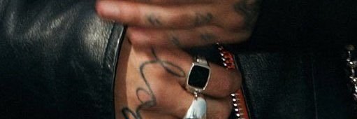 🐆 banner