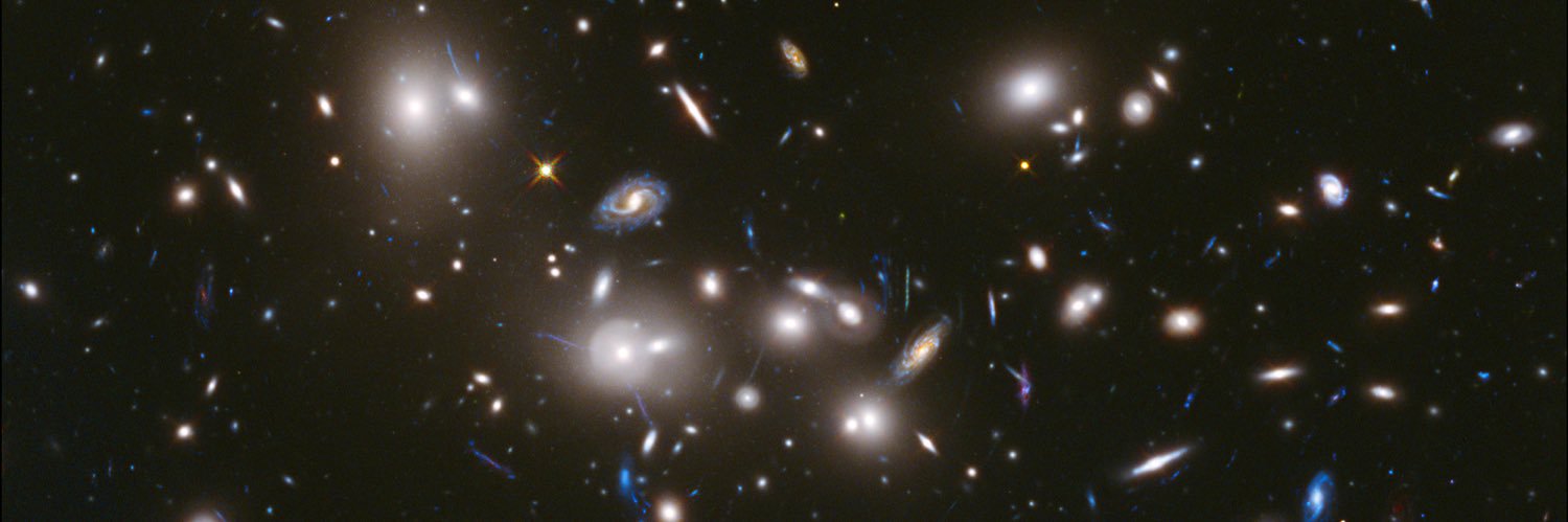 Living Dead Girl banner