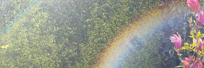 lightujuice's profile banner image