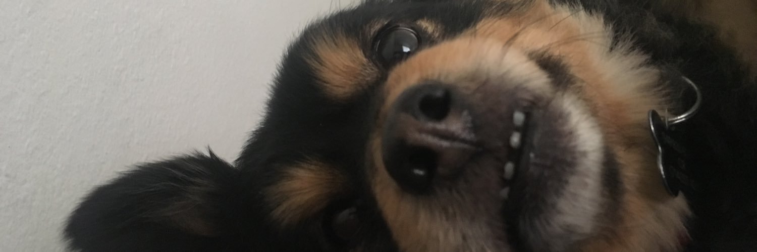 Ravenbw16's profile banner image