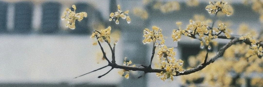 Moody_Stark's profile banner image