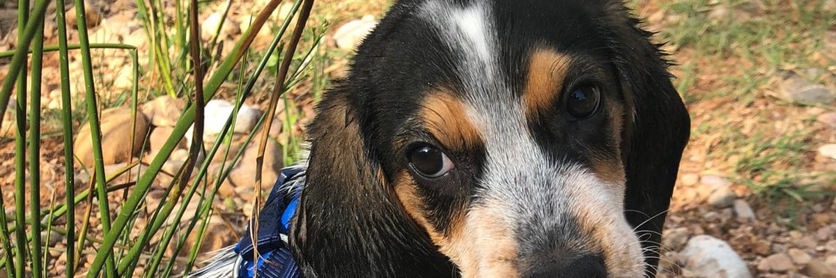itspaito's profile banner image