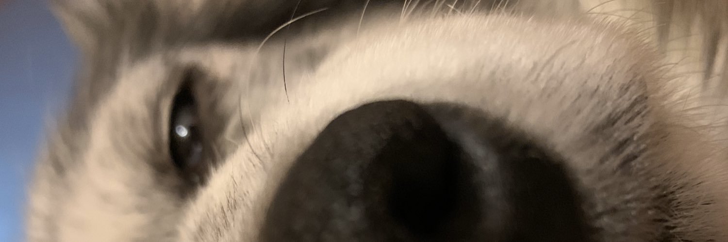 HeartHalfEmpty's profile banner image