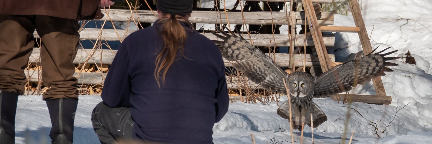 TurmiolanTommi banner