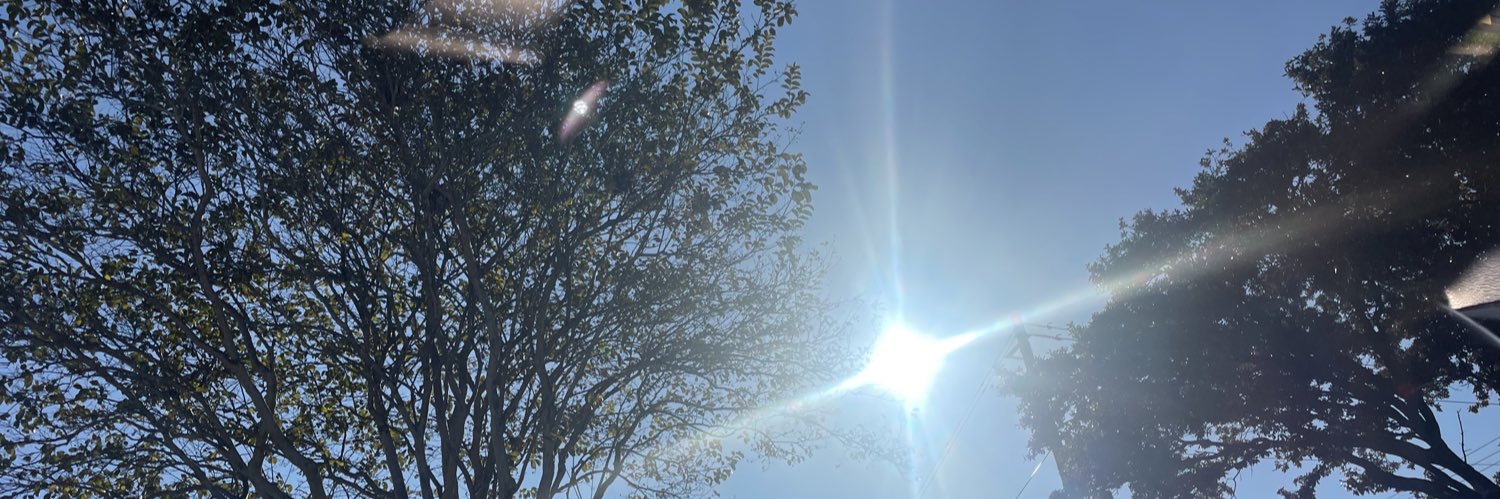 DenDenflawless's profile banner image