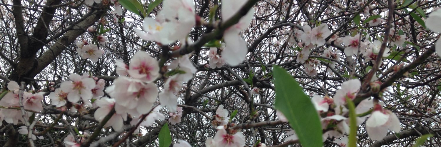 esterlicia1234's profile banner image