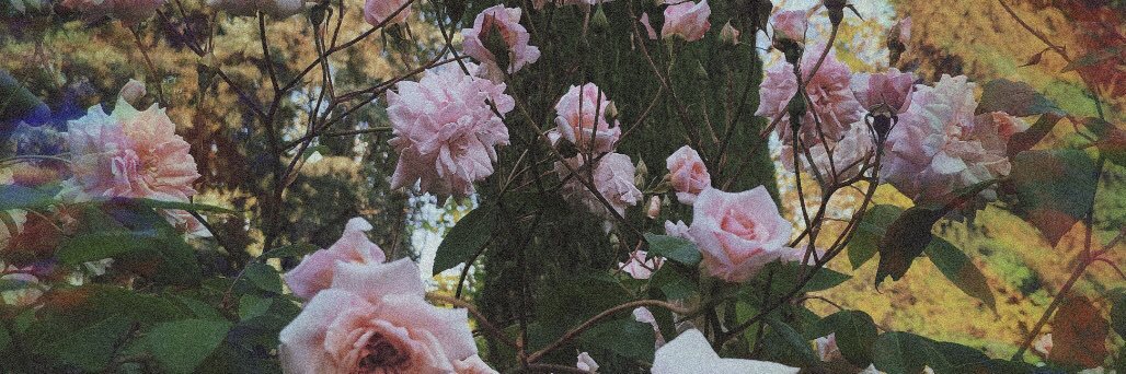 AxelleVericel's profile banner image