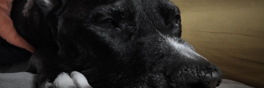 Beeadiaz_'s profile banner image