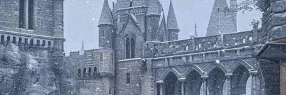 ' banner
