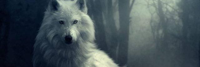 kp_darkness's profile banner image