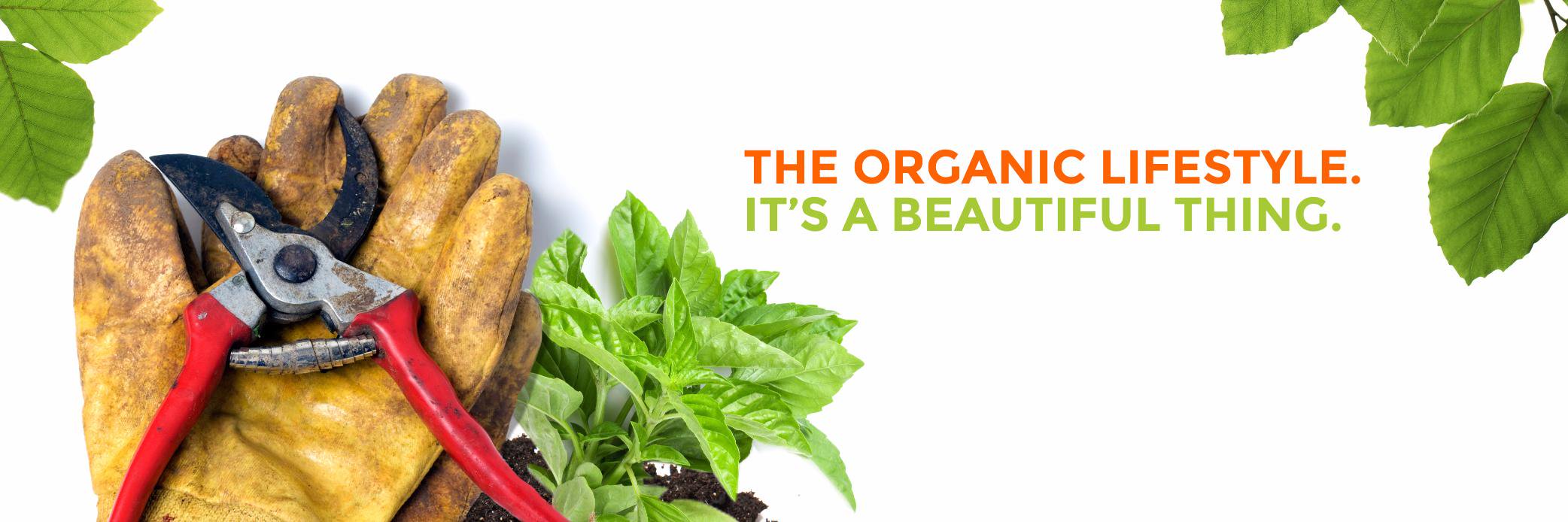 SaferBrand's profile banner image