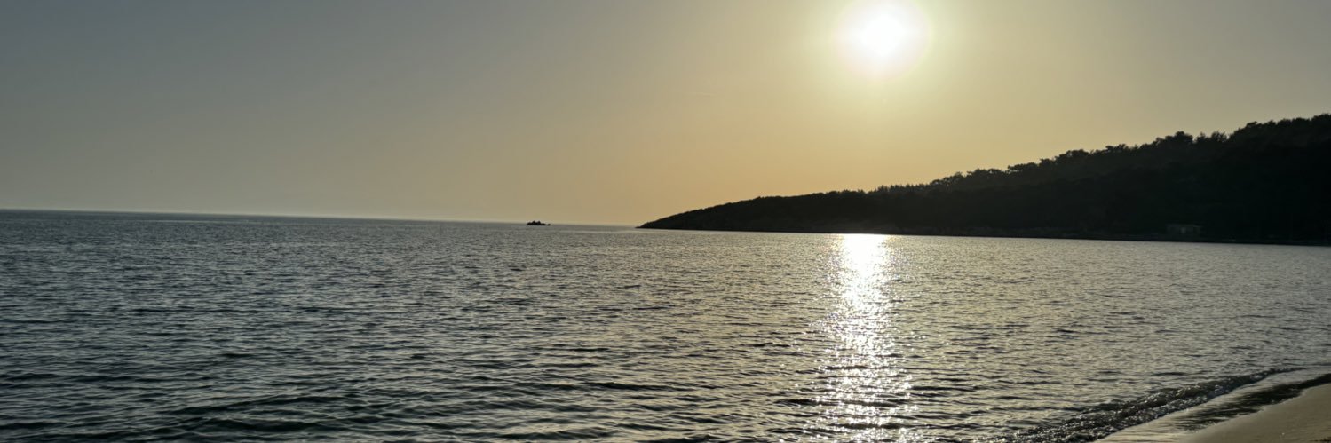 Ozlem Celik banner