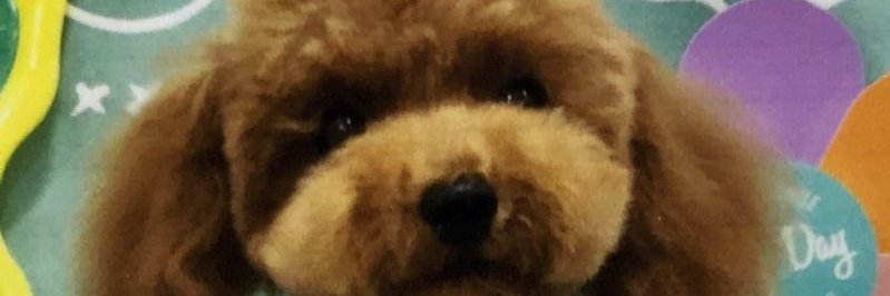 athletelabo's profile banner image