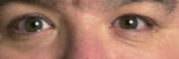 NotPeteAbe1's profile banner image