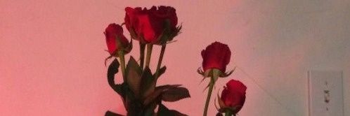 Majcza123's profile banner image