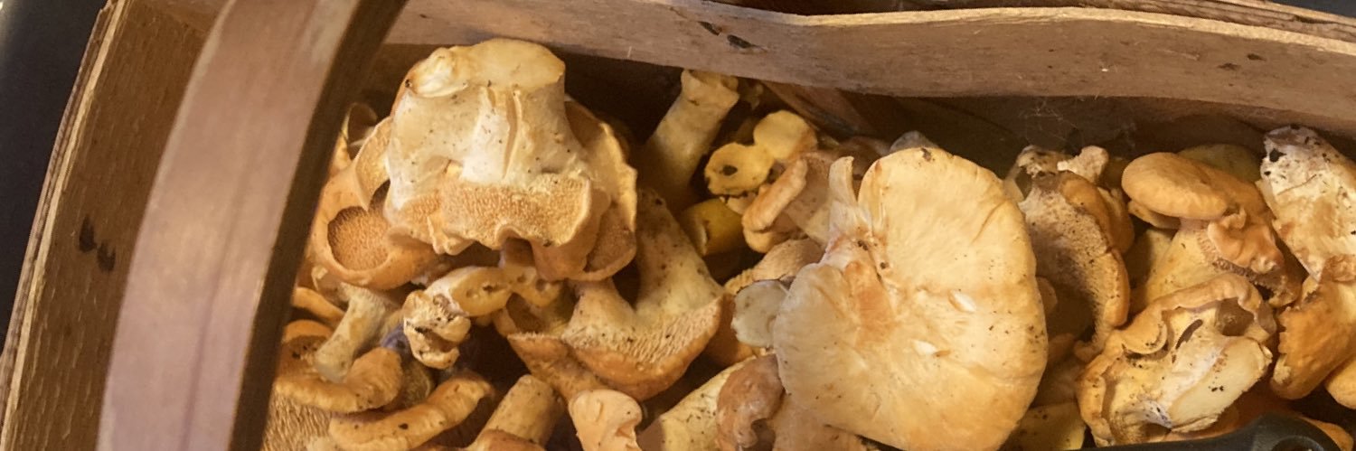 Mia Fallentin banner